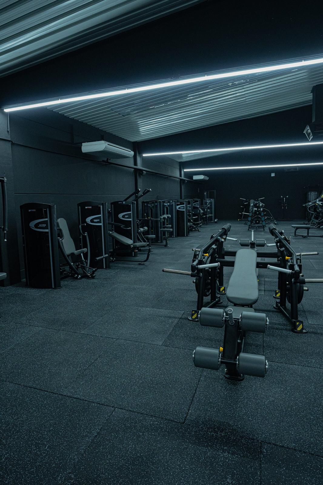 Fila de máquinas guiadas BH Fitness