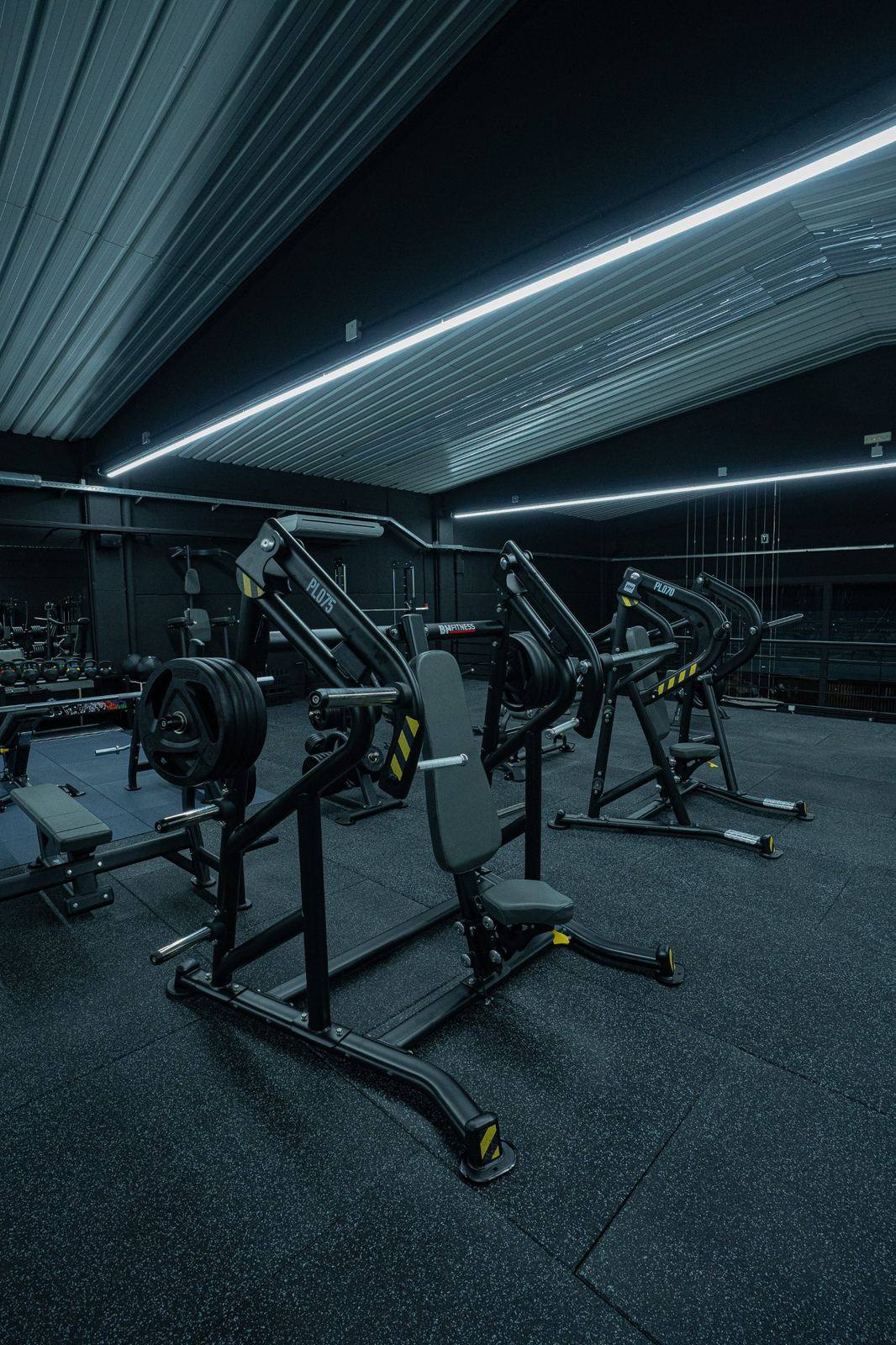 Máquinas de carga de discos BH Fitness